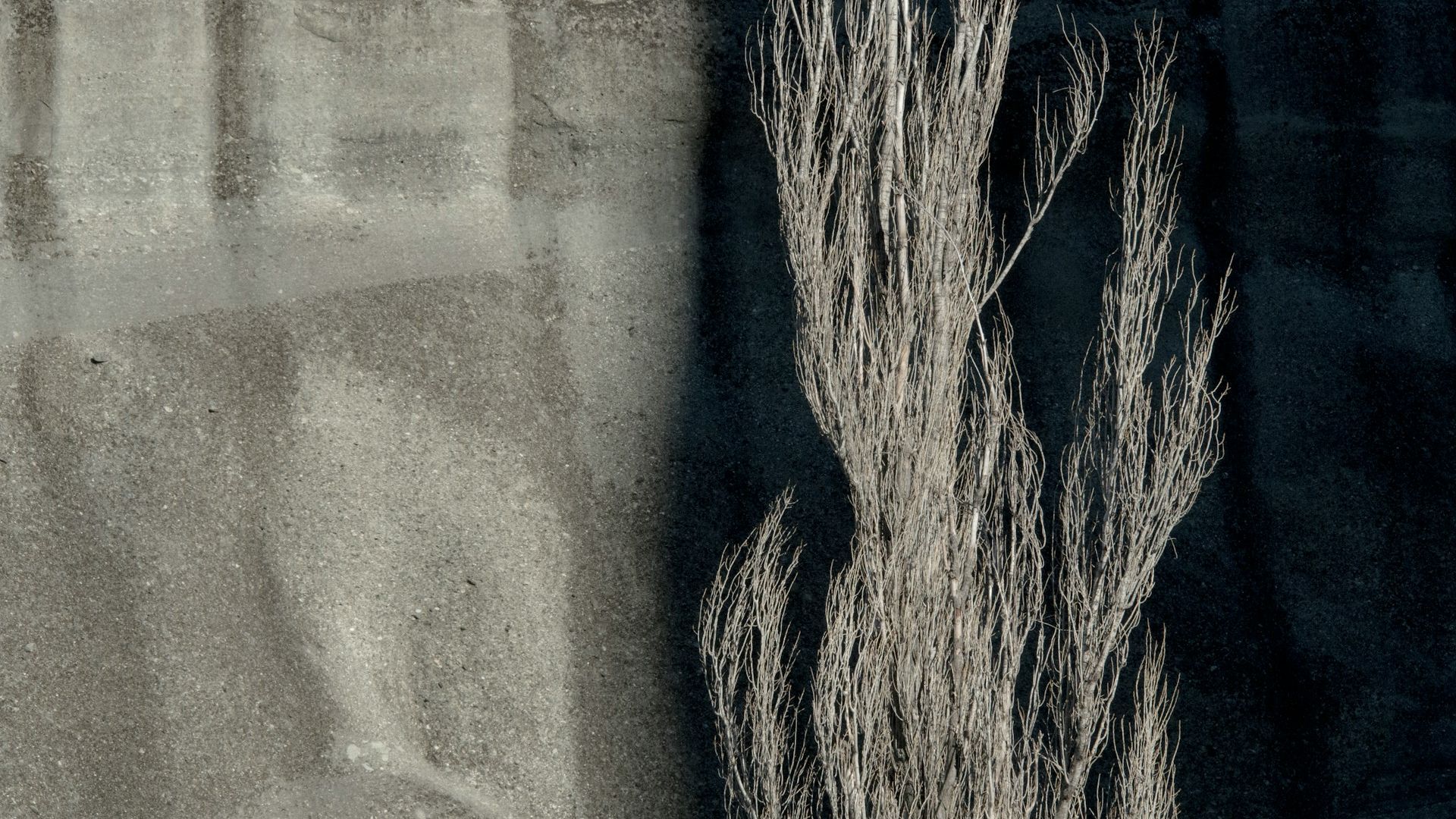 The FBPS Advantage: Two Decades of Precision in South African Property