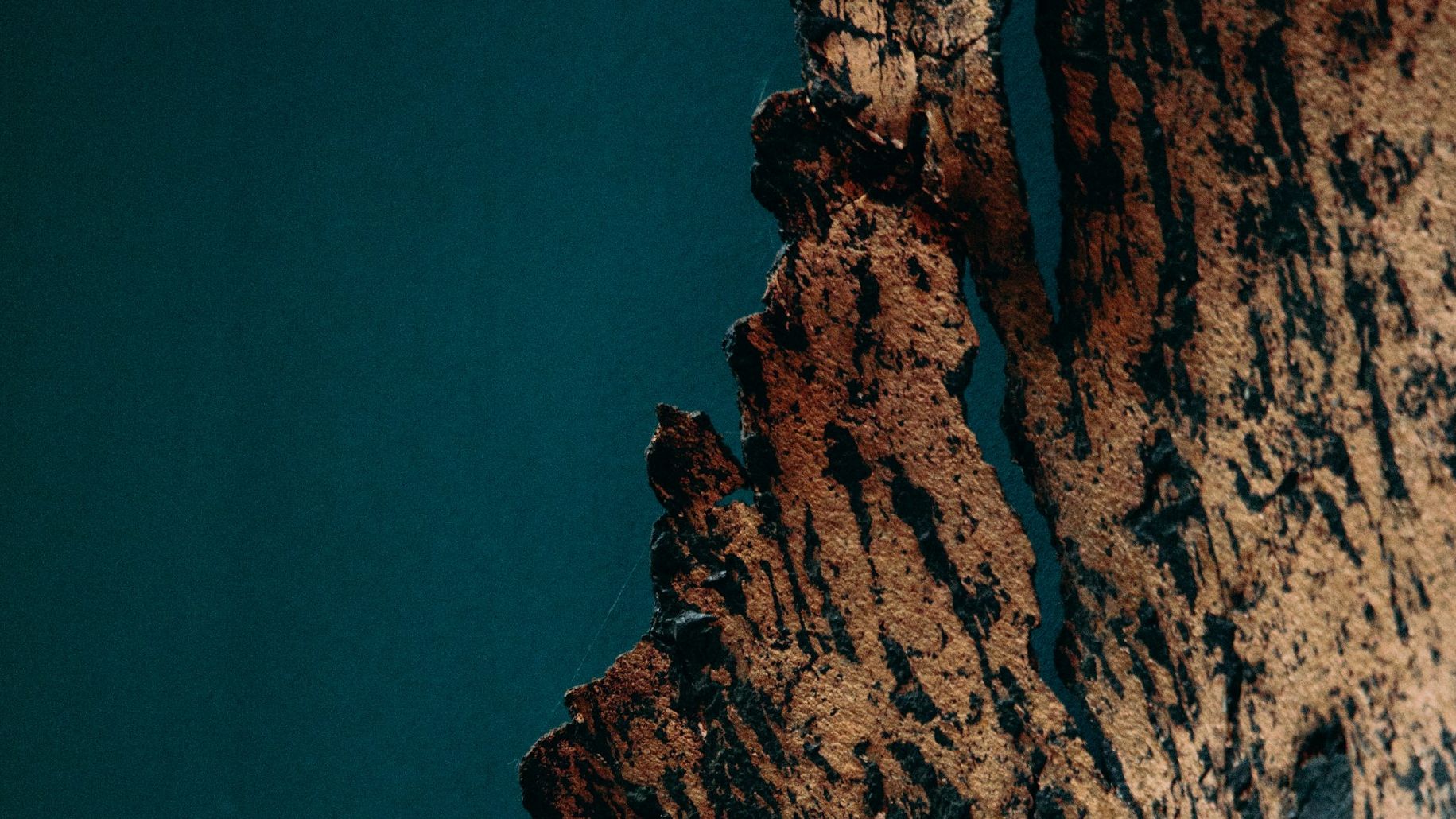 Stay SARB Compliant: Protecting International Capital